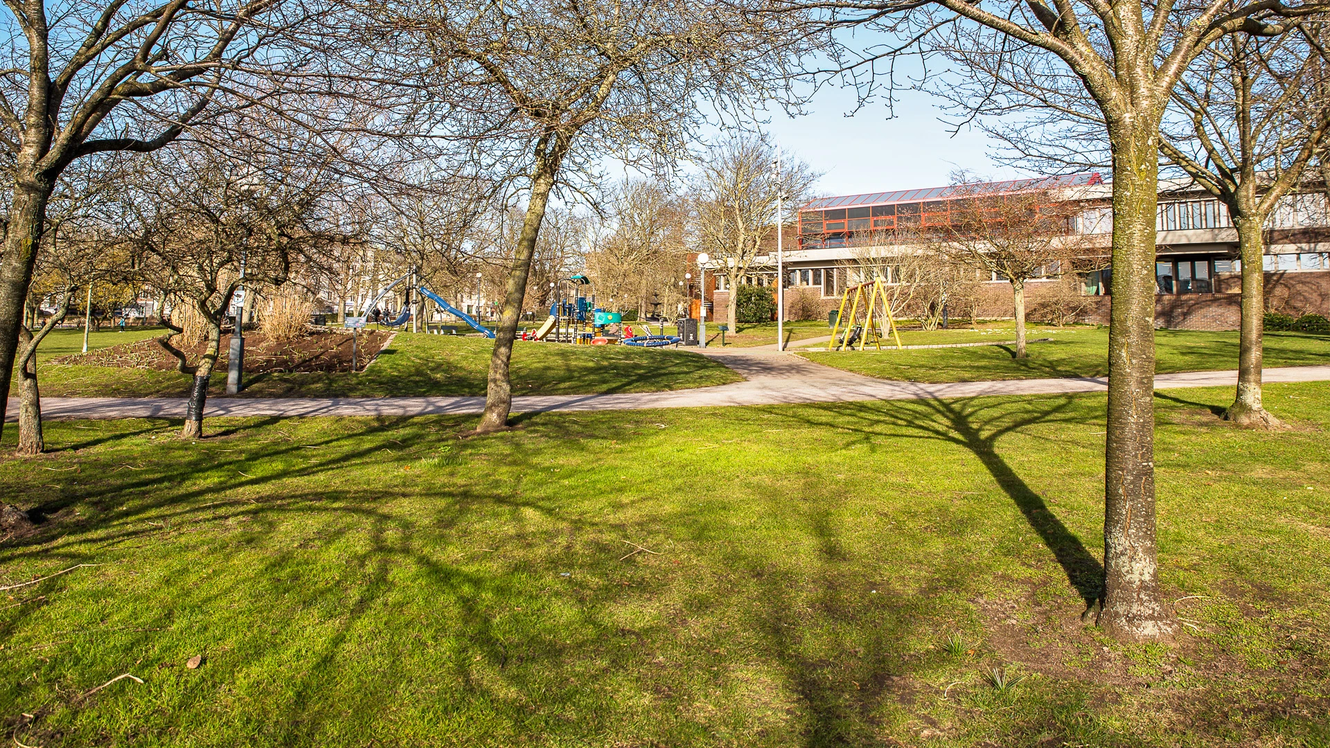 Stadsparken, träd