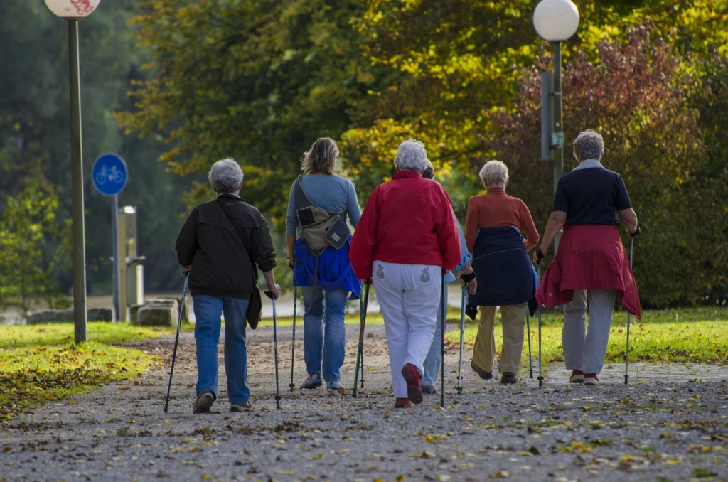 Grupp med människor som går med stavar med ryggen mot kameran.