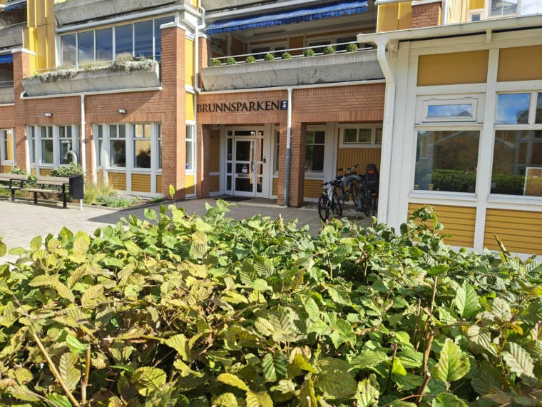 Vi mot Brunnsparksskolans entré