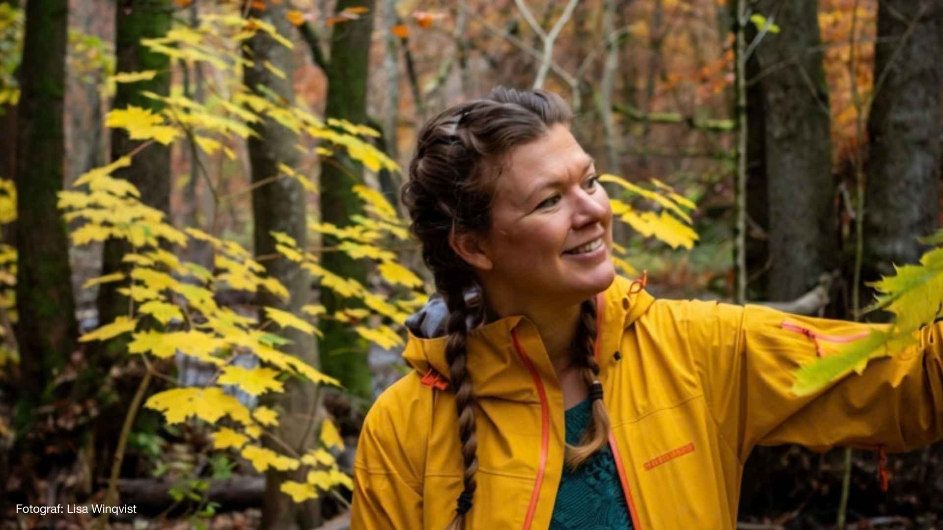 Stilla vintervandring – med naturguide Britta Levin
