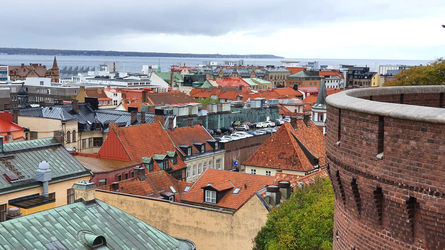 Vy över takåsar i Helsingborg från Terrasstrapporna.