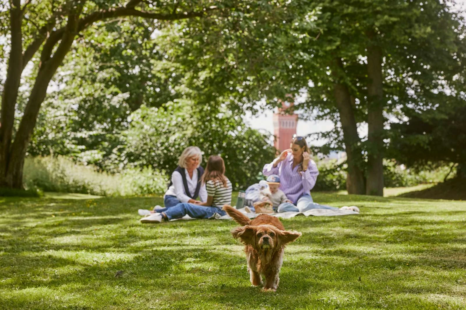 3 personer fikar på en grön gräsmatta mitt i staden. I förgrunden springer en söt brun hund.