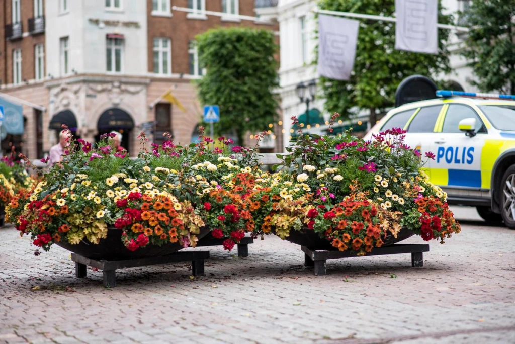 Sommarblommor och en polisbil i bakgrunden