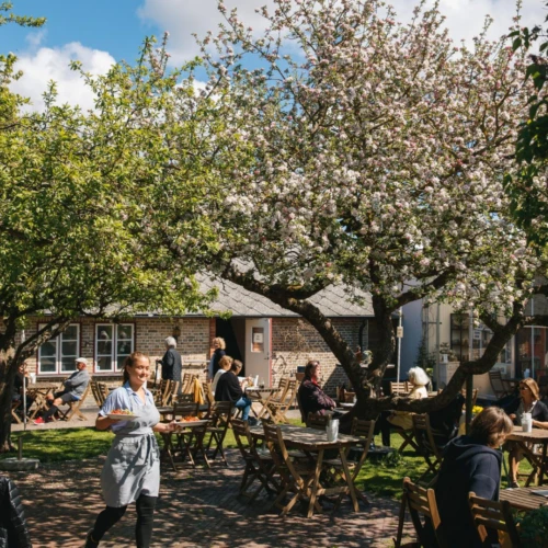 Uteservering på Miss Alice bland äppleträden som står i full blom.