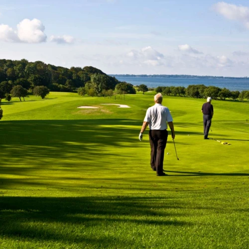 Två golfspelare på Rya golfbana med utsikt över Sundet.