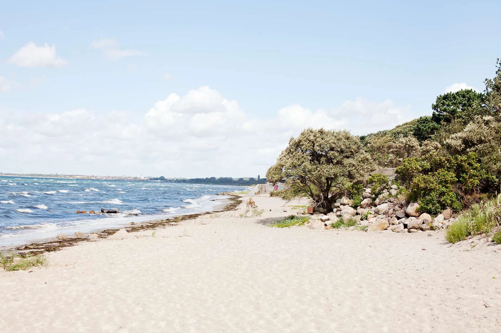 Rydebäcks strand med grönska vid strandkanten och vita böljande vågor på sundet.