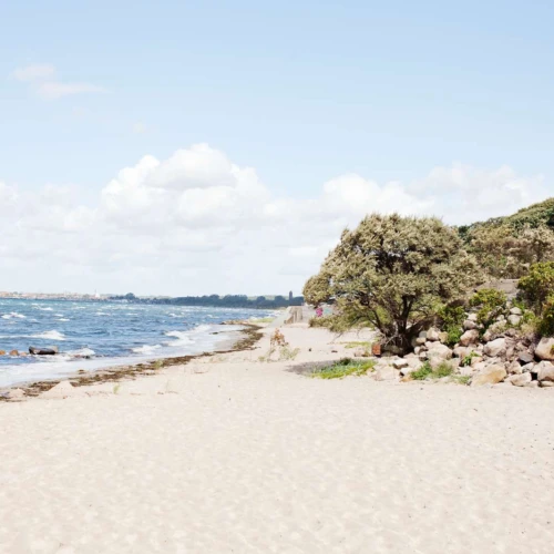 Rydebäcks strand med grönska vid strandkanten och vita böljande vågor på sundet.