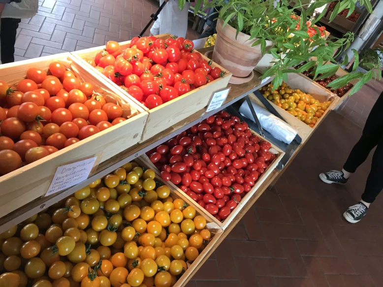 Tomater i lösvikt på tomatens hus i Vallåkrabygden.