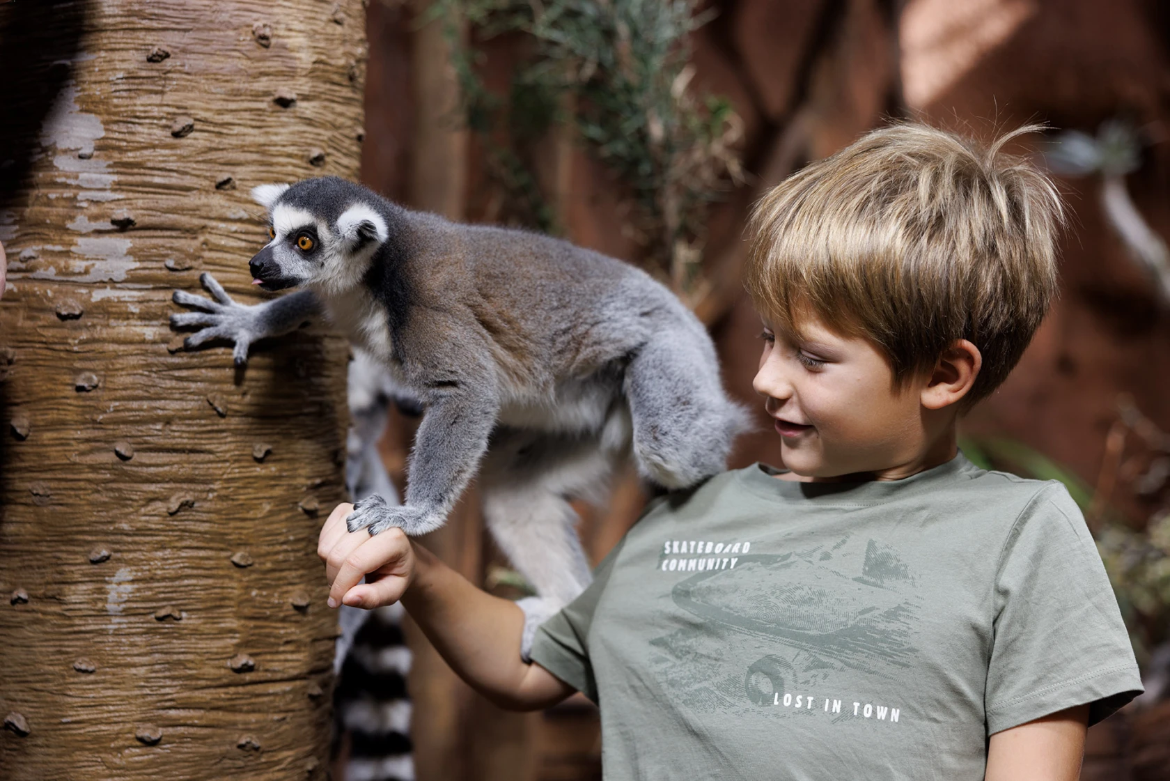 Tropikariet i Helsingborg, ett spännande inomhuszoo. En pojke hälsar på en lemur.