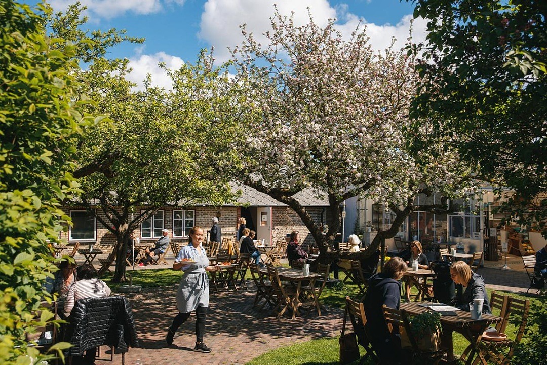 Miss Alice i Vallåkra, restauranggäster sitter och äter under äppelträden i trädgården. Äppelträden strå i blom. En servitris kommer ut med två tallrikar mat.