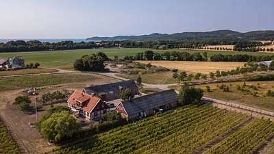 Drönarbild tagen över Kullabergs vingård. Kringbyggd gård i mitten med vinfälten runt gården.
