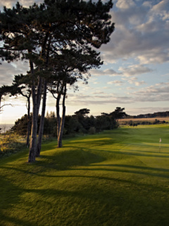 Landskrona golfbana vid havet, mellan golfbanan och havet står några träd.