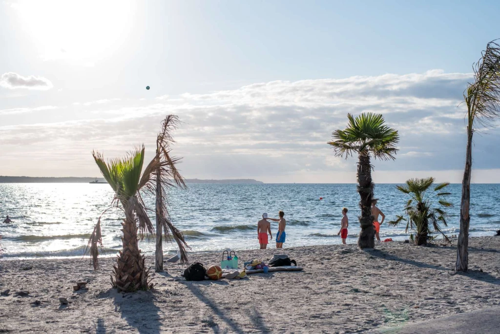 Tropical beach med vajande palmer. Några ungdomar hänger vid strandkanten