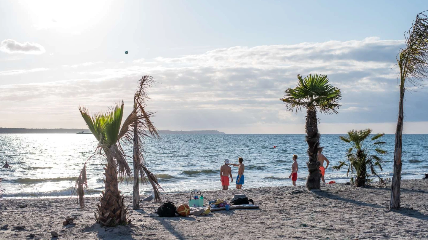Tropical beach med vajande palmer. Några ungdomar hänger vid strandkanten