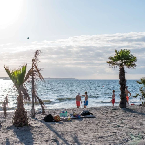 Tropical beach med vajande palmer. Några ungdomar hänger vid strandkanten