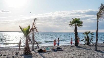 Tropical beach med vajande palmer. Några ungdomar hänger vid strandkanten