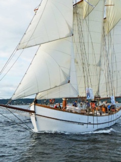 Skonaren Nina, segelfartyg i trä med vita segel. Seglar på sundet med Helsingborg i bakgrunden.