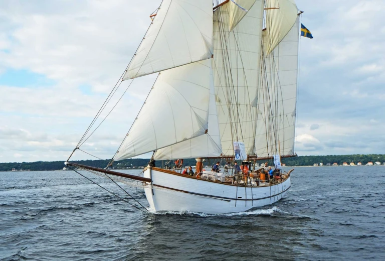 Skonaren Nina, segelfartyg i trä med vita segel. Seglar på sundet med Helsingborg i bakgrunden.