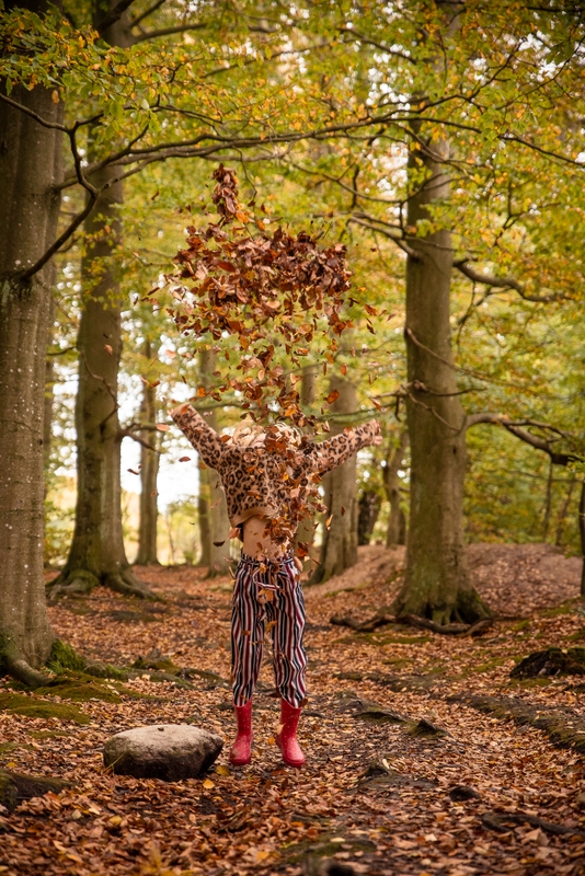 ett barn kastar upp löv. inramat av en skog på hösten