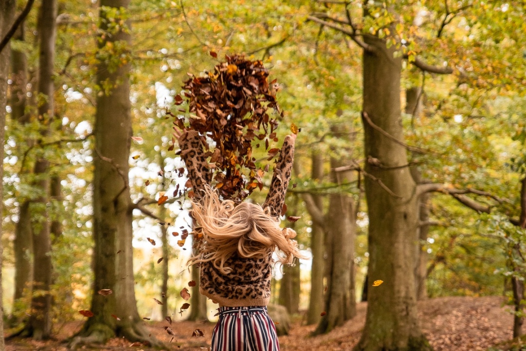 ett barn kastar upp löv. inramat av en skog på hösten - Pålsjöskog