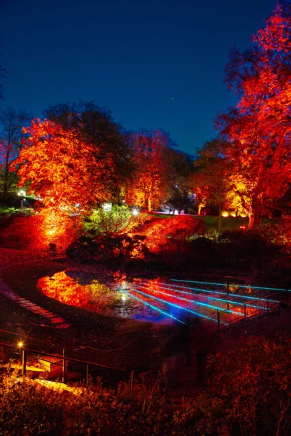 Sofiero slottspark upplyst med höstljus