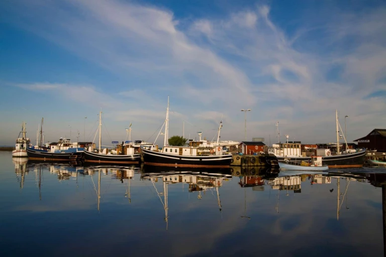 Båtar i Råå hamn