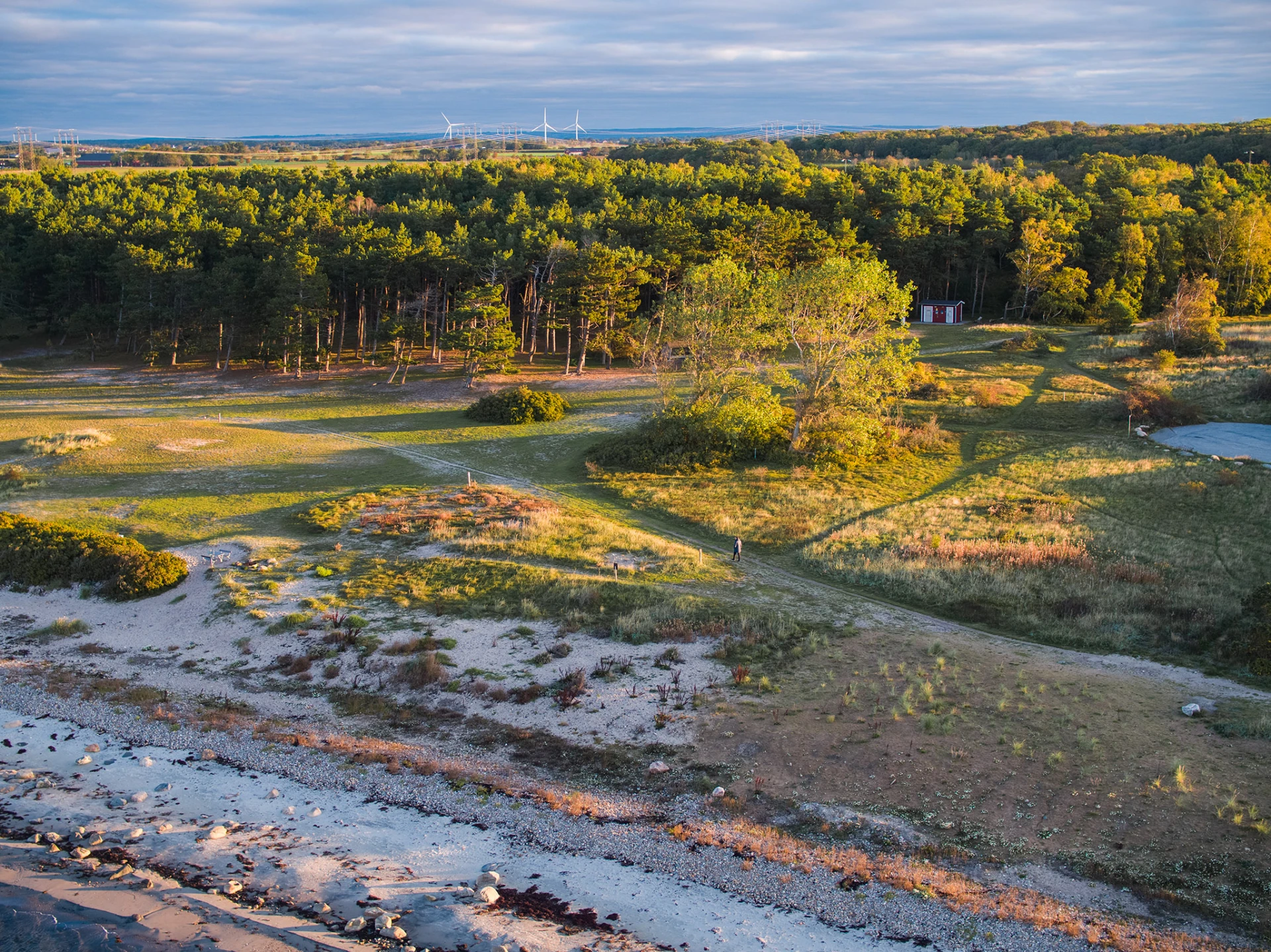 Kuststräcka uppe på brant med betande djur i hage. Ett par vandrar vid sidan om hagen.