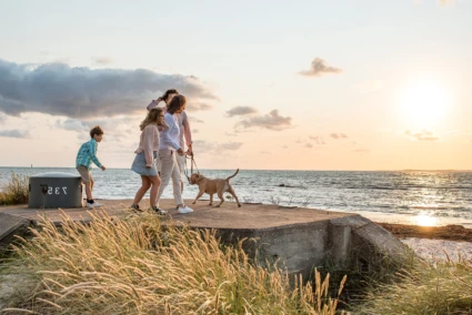 familj på strand i kvällssol med en hund