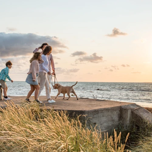 familj på strand i kvällssol med en hund