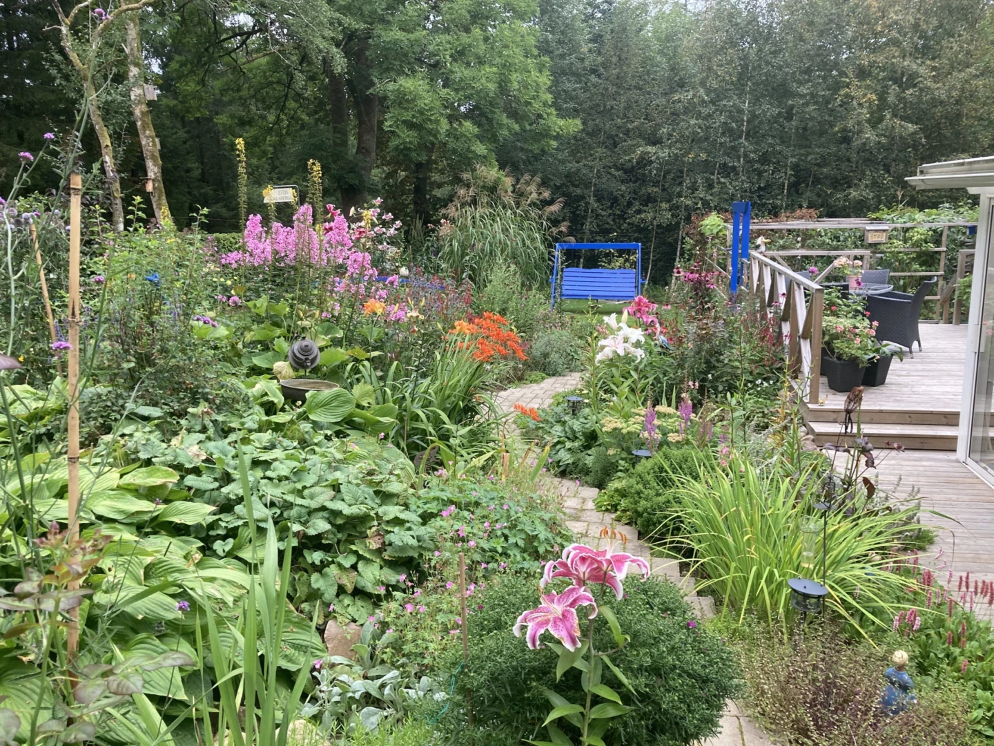 vacker trädgård med rosa blommor