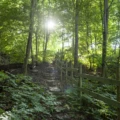 Naturreservatet Borgen. Map of Quietude