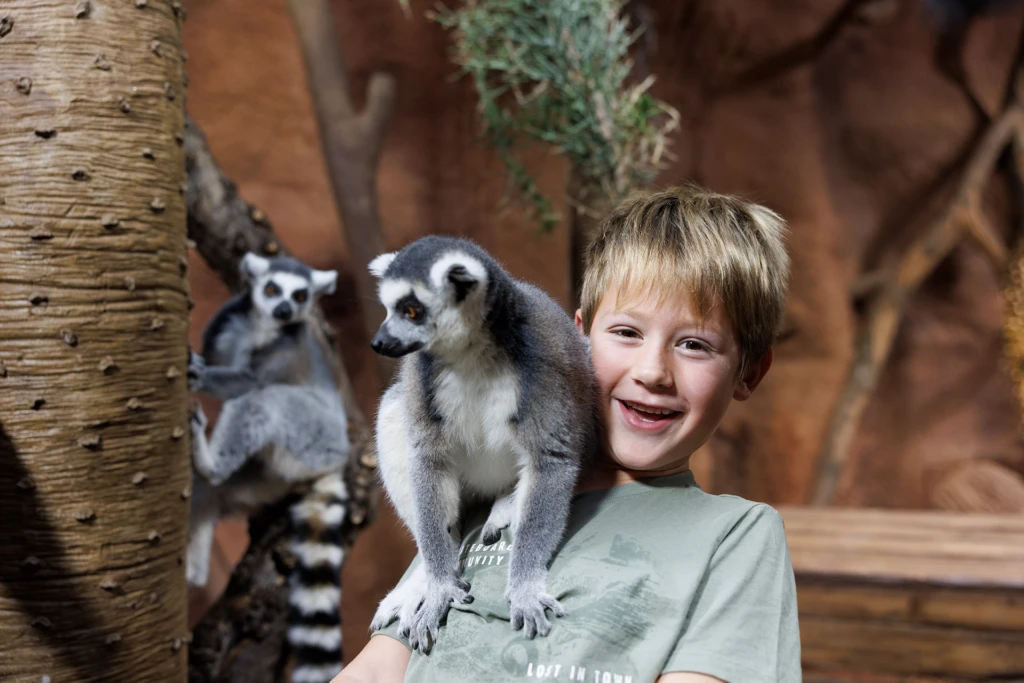 pojke med en lemur på axeln