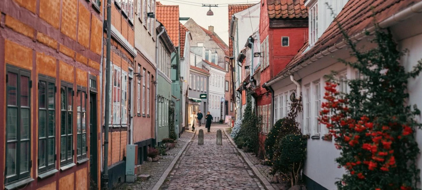 kullerstensgata i helsingör med färgglada korsvirkeshus