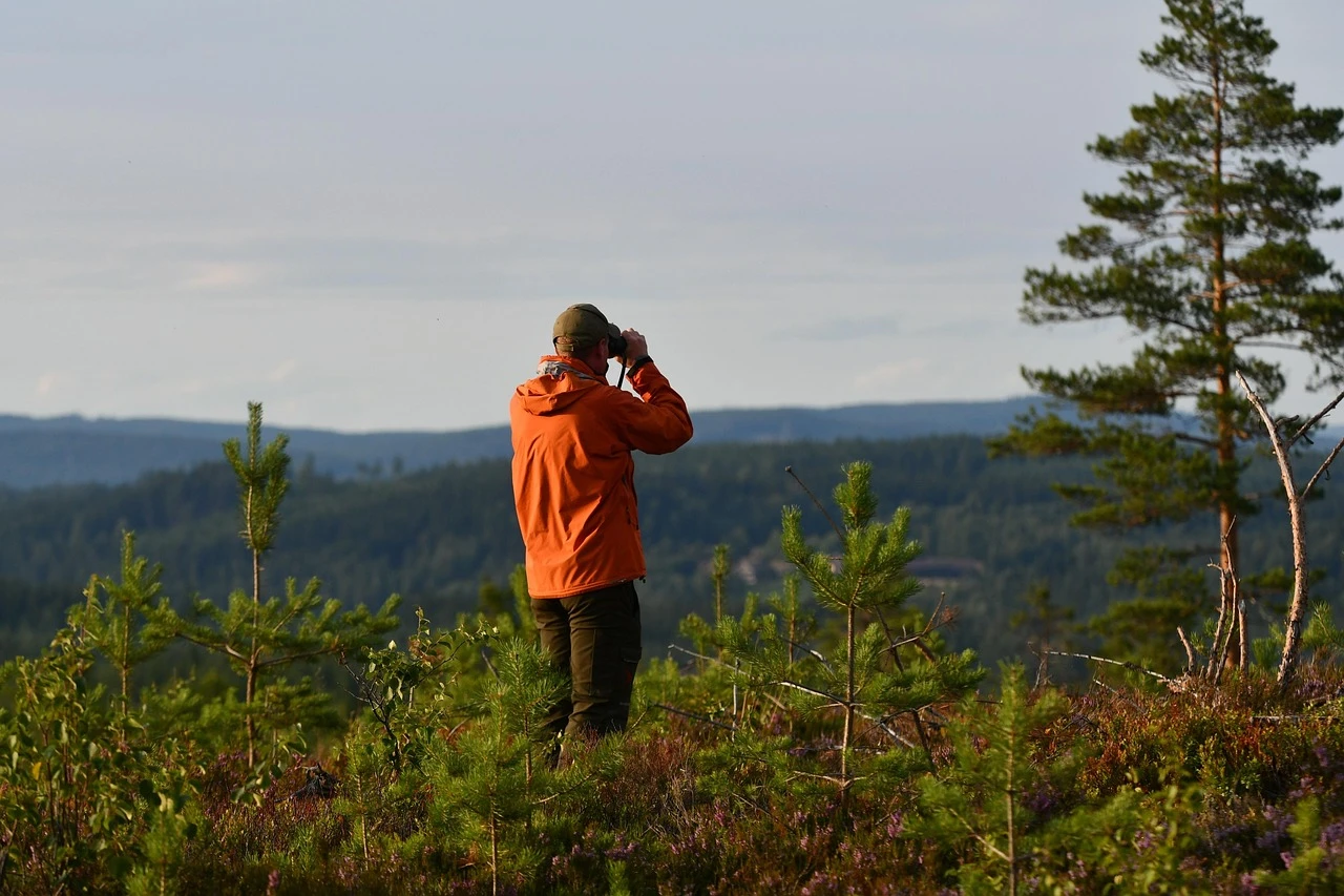 man med orange jacka står ute i glesskog och blickar ut mot naturen med en kikare