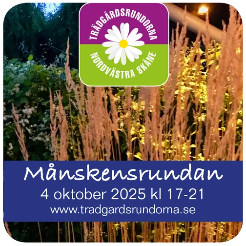 Symbol med information om Månskensrundan oktober 2025