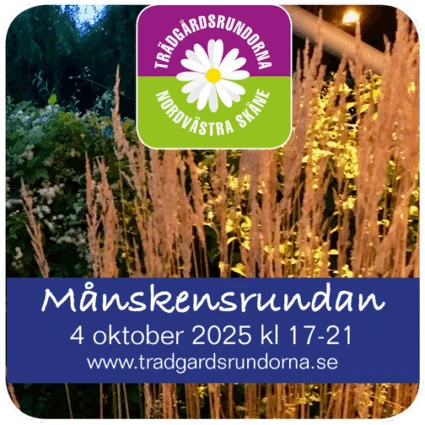 Symbol med information om Månskensrundan oktober 2025