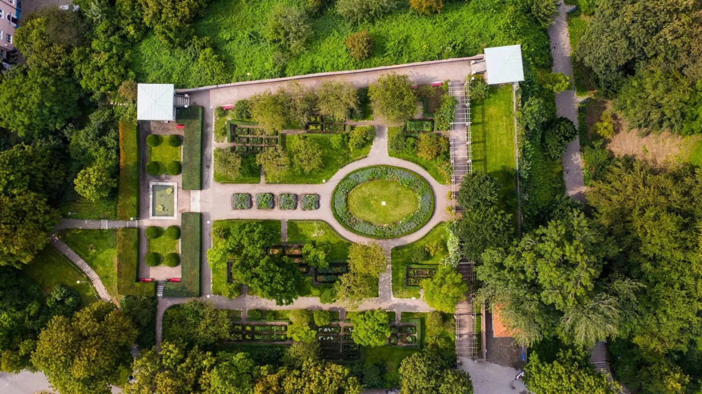 Vy över rosenträdgarden i Slottshagen