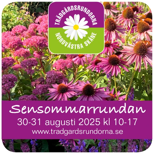 Symbol med information om Sensommarrundan augusti 2025
