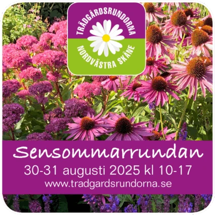 Symbol med information om Sensommarrundan augusti 2025