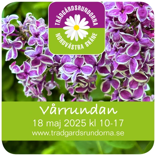 Symbol med information om Vårrundan den 18 maj 2025