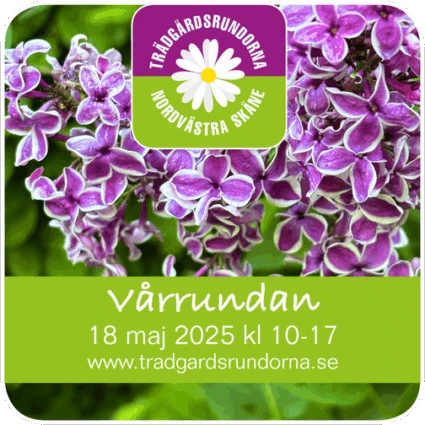 Symbol med information om Vårrundan den 18 maj 2025