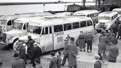 svart vit bild på röda kortsets vita bussar under kriget