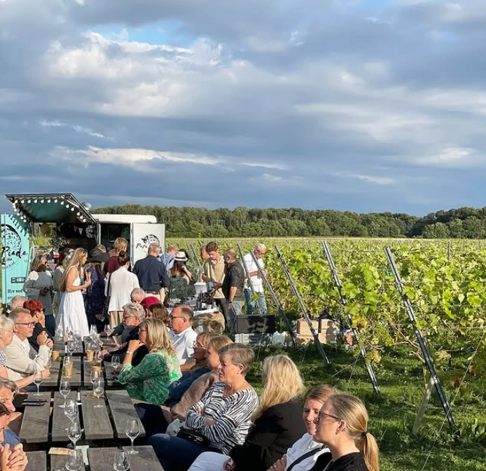 Träbänkar mitt bland vinfält och en foodtruck. Gäster njuter av mat och dryck.