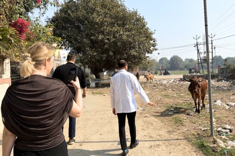 Det är inte ovanligt att se fria kor på gatorna i Indien