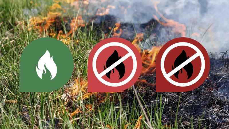 Brandriskprognos