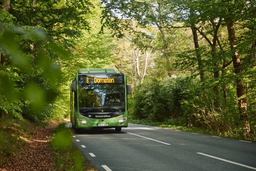 Grön buss kör genom en lummig skogsväg.