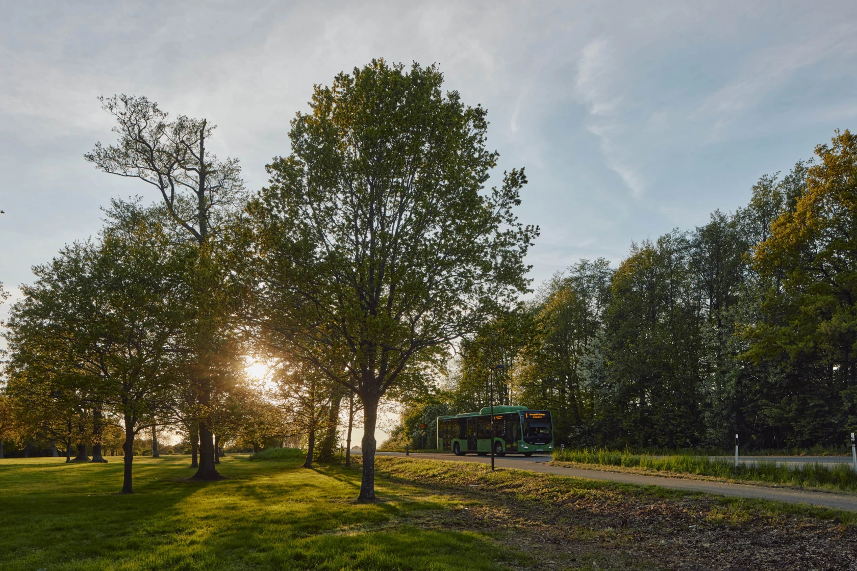 Buss på landsväg i solnedgång omgiven av träd.