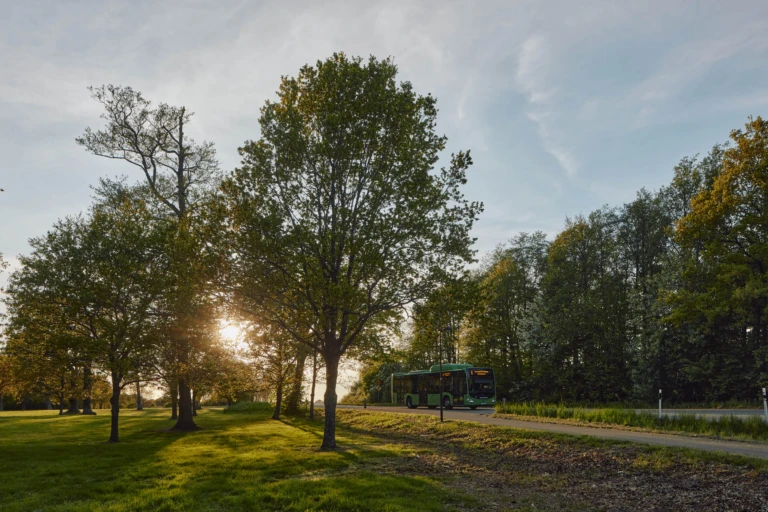 Buss på landsväg i solnedgång omgiven av träd.