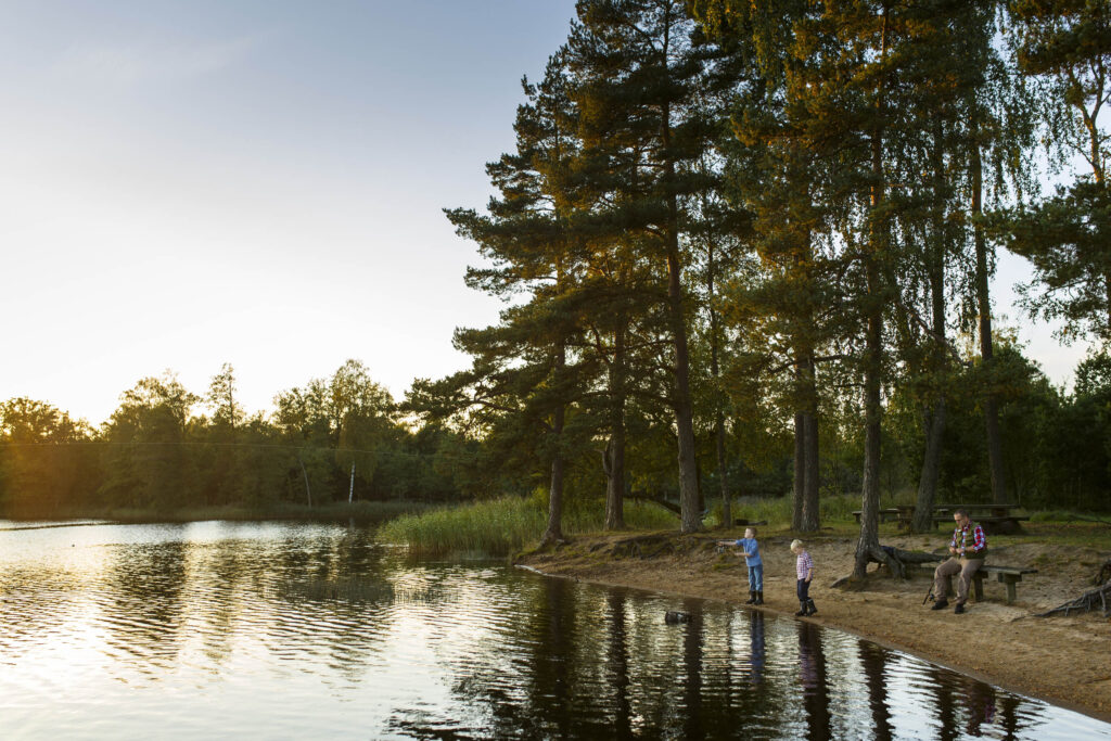 Familj vid sjökant i kvällssol med träd i bakgrunden.