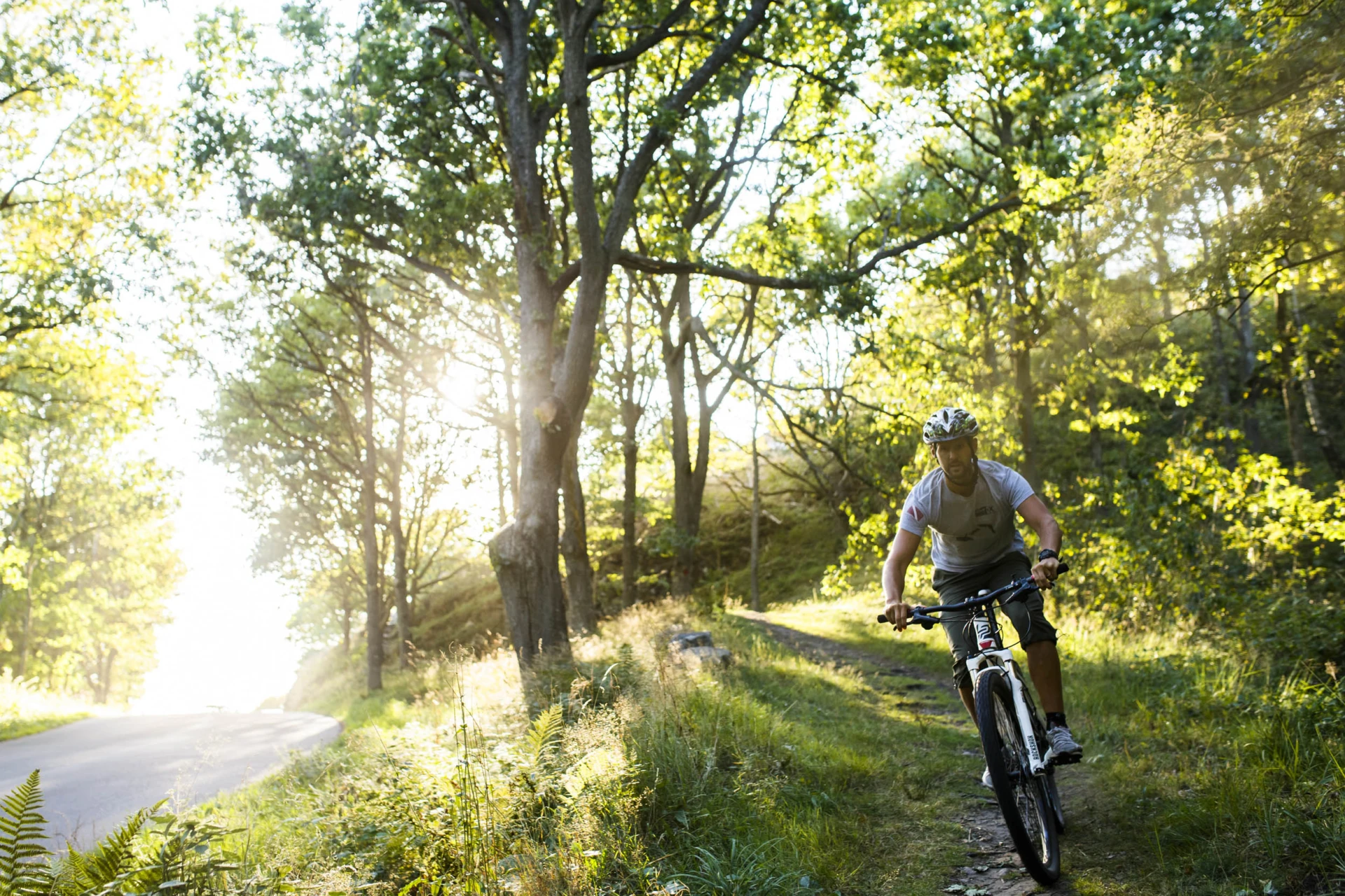 Man cyklar på en skogsstig i solljus.